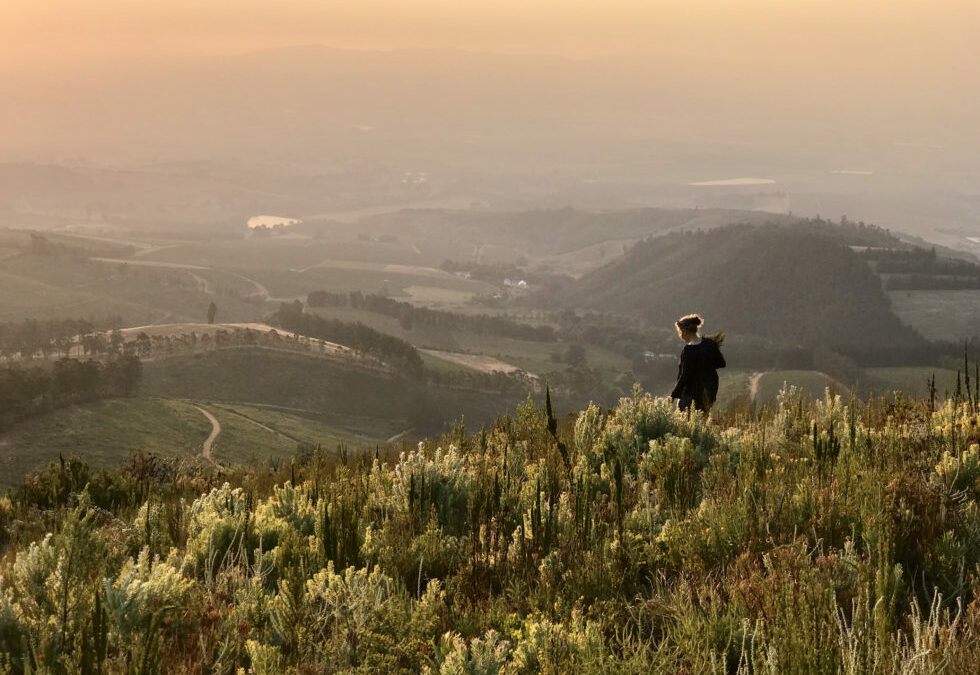 Conserving Nature is a Part of Delheim’s Soul