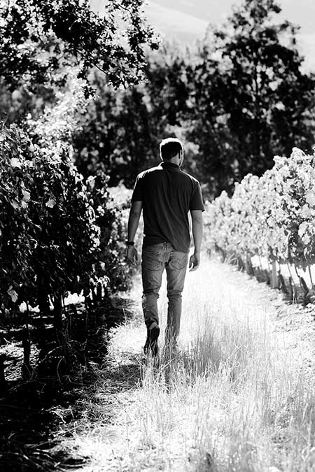 cellarmaster Roelof Lotriet