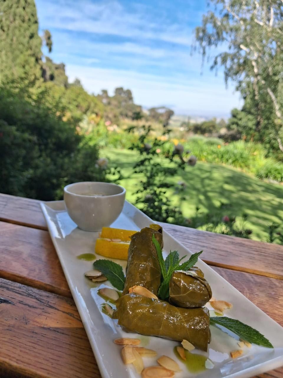 Enjoy your FIRST homemade Dolmades